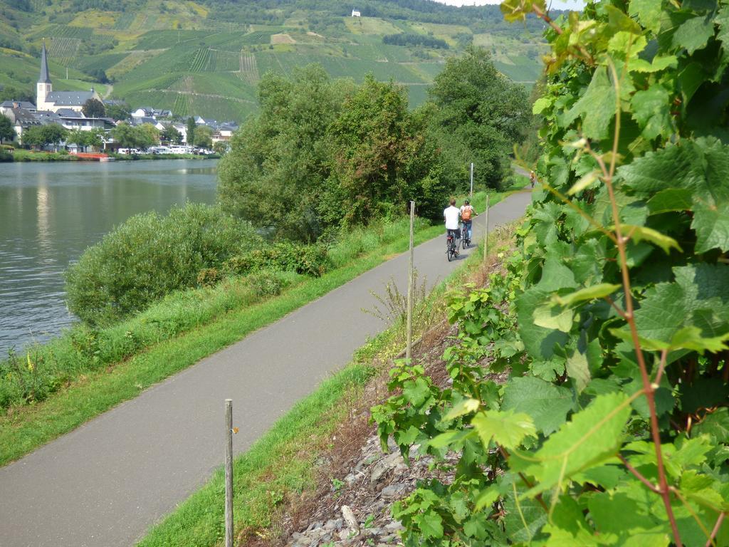 Sonnenhaus Ferienwohnungen Traben-Trarbach Exteriör bild